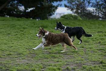 malki and tucker