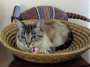 sky in basket